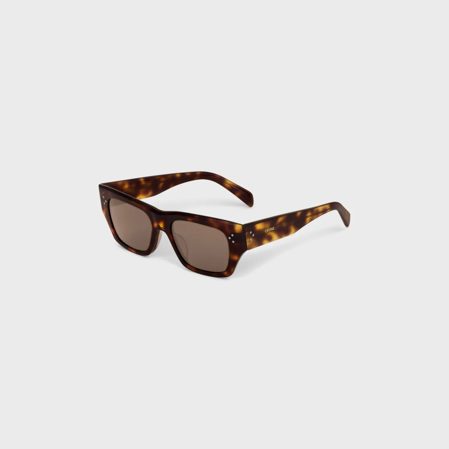 Black Frame 55 Sunglasses in Acetate