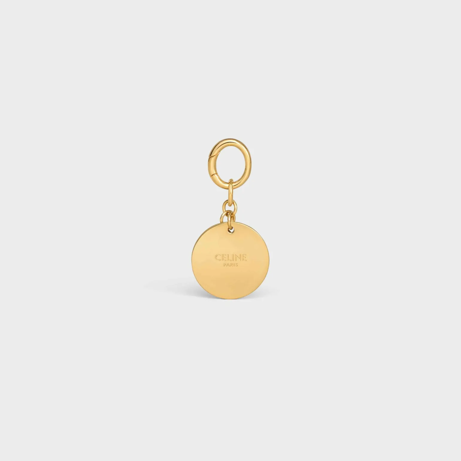 Bone strass plate dog medal in brass