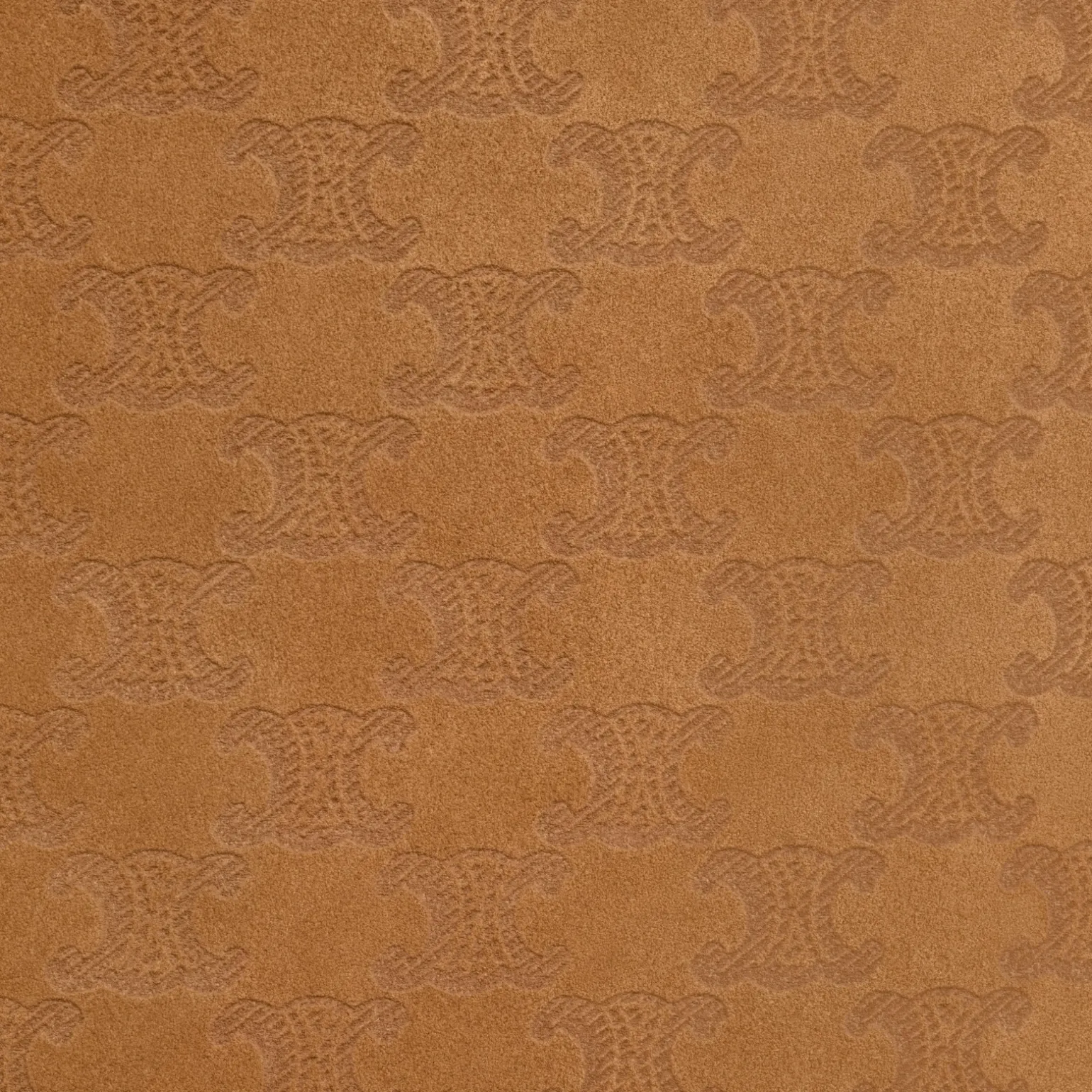 BUCKET in SUEDE CALFSKIN WITH TRIOMPHE ALL OVER
