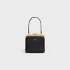 CELINE LANA MINAUDIERE in Lizard