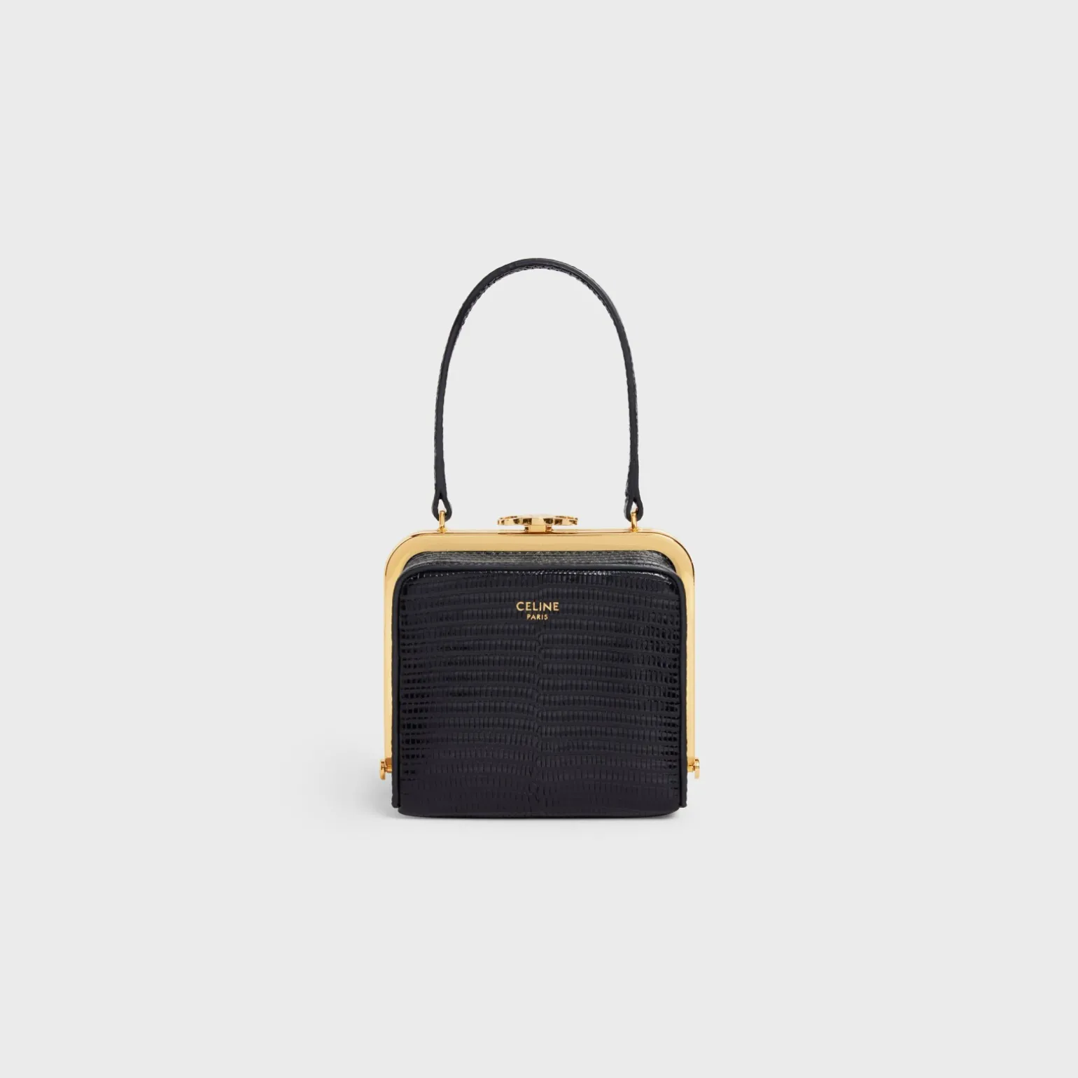 CELINE LANA MINAUDIERE in Lizard