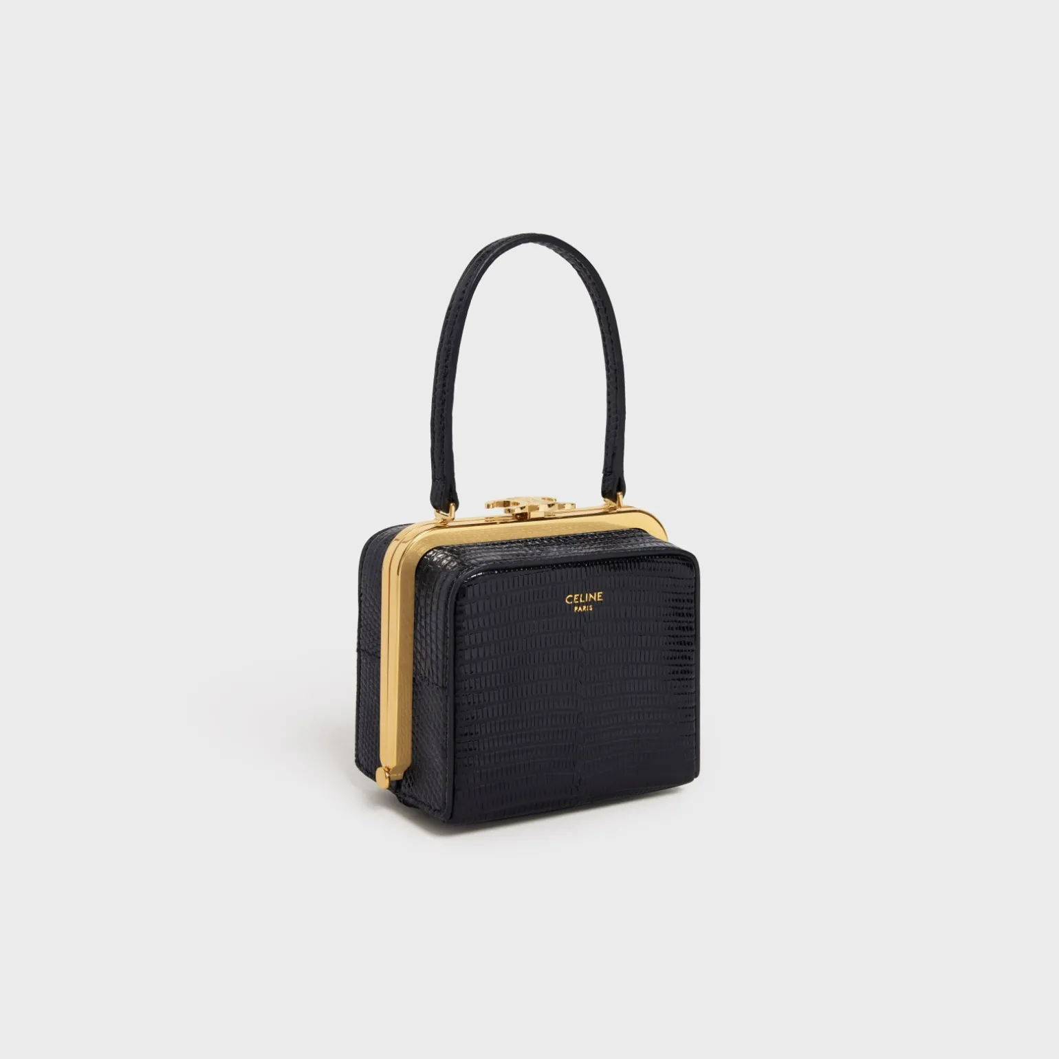 CELINE LANA MINAUDIERE in Lizard