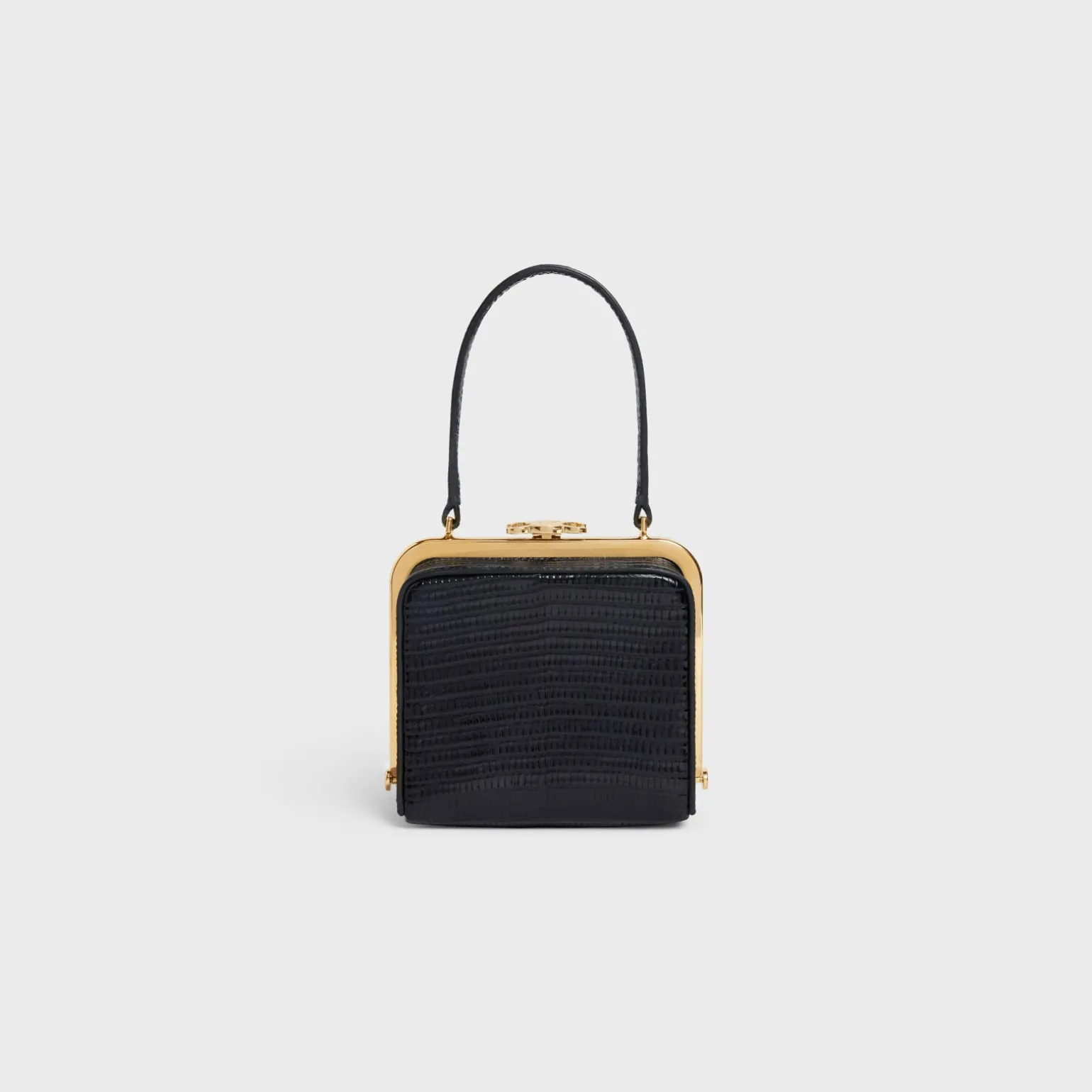 CELINE LANA MINAUDIERE in Lizard
