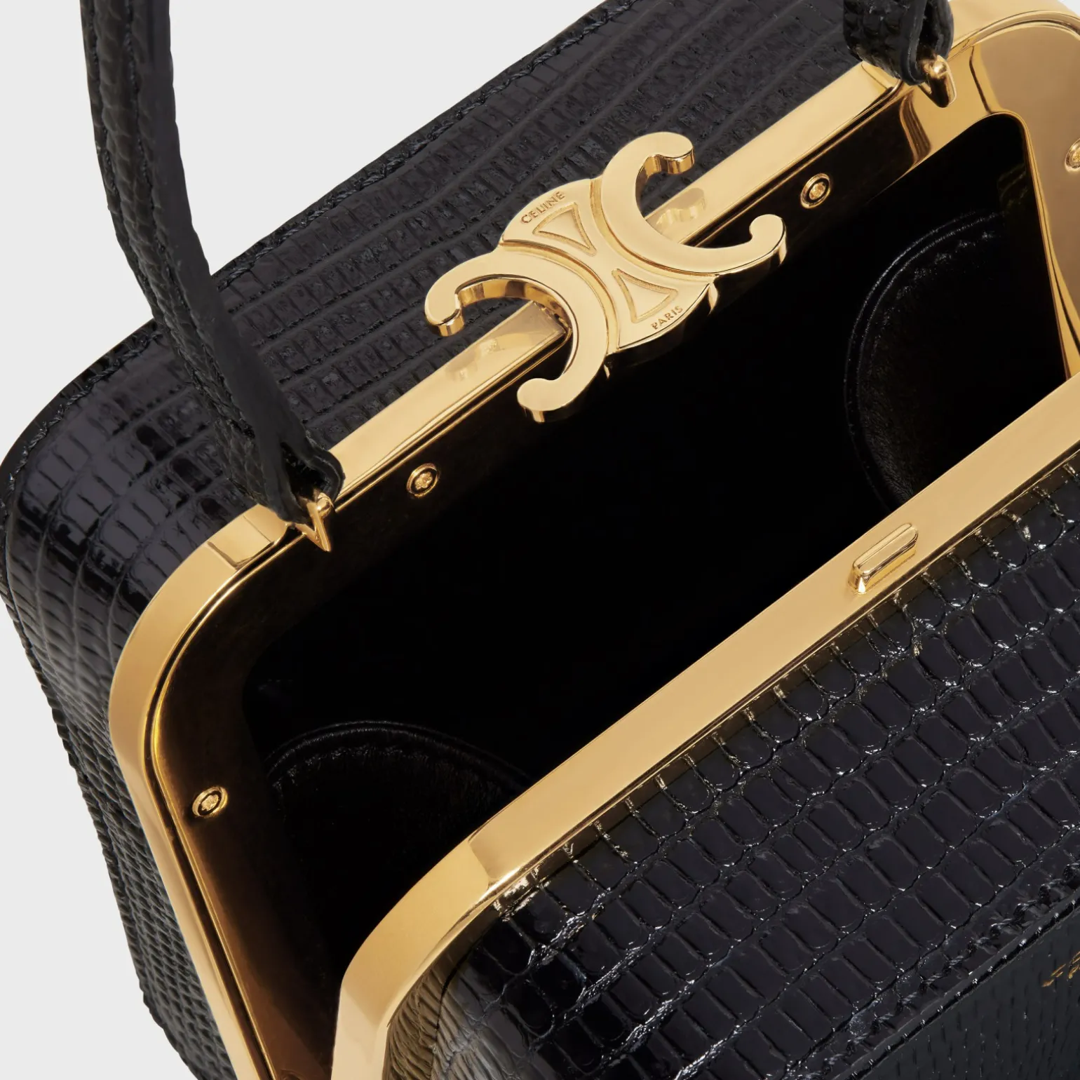 CELINE LANA MINAUDIERE in Lizard