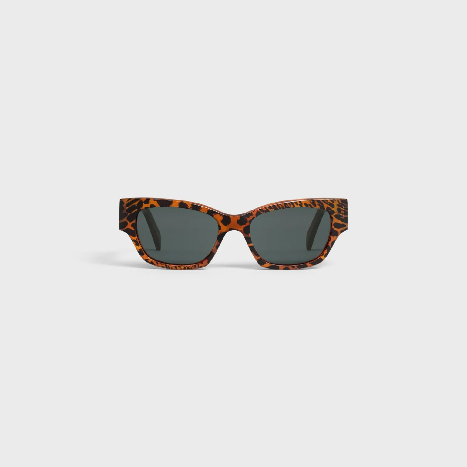 CELINE Monochroms 01 Sunglasses in Acetate