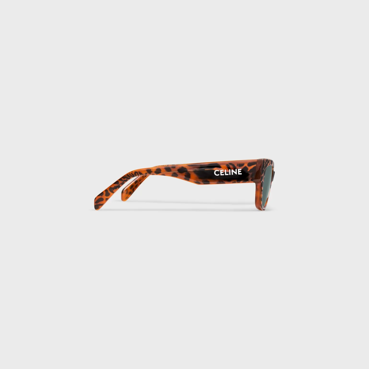 CELINE Monochroms 01 Sunglasses in Acetate