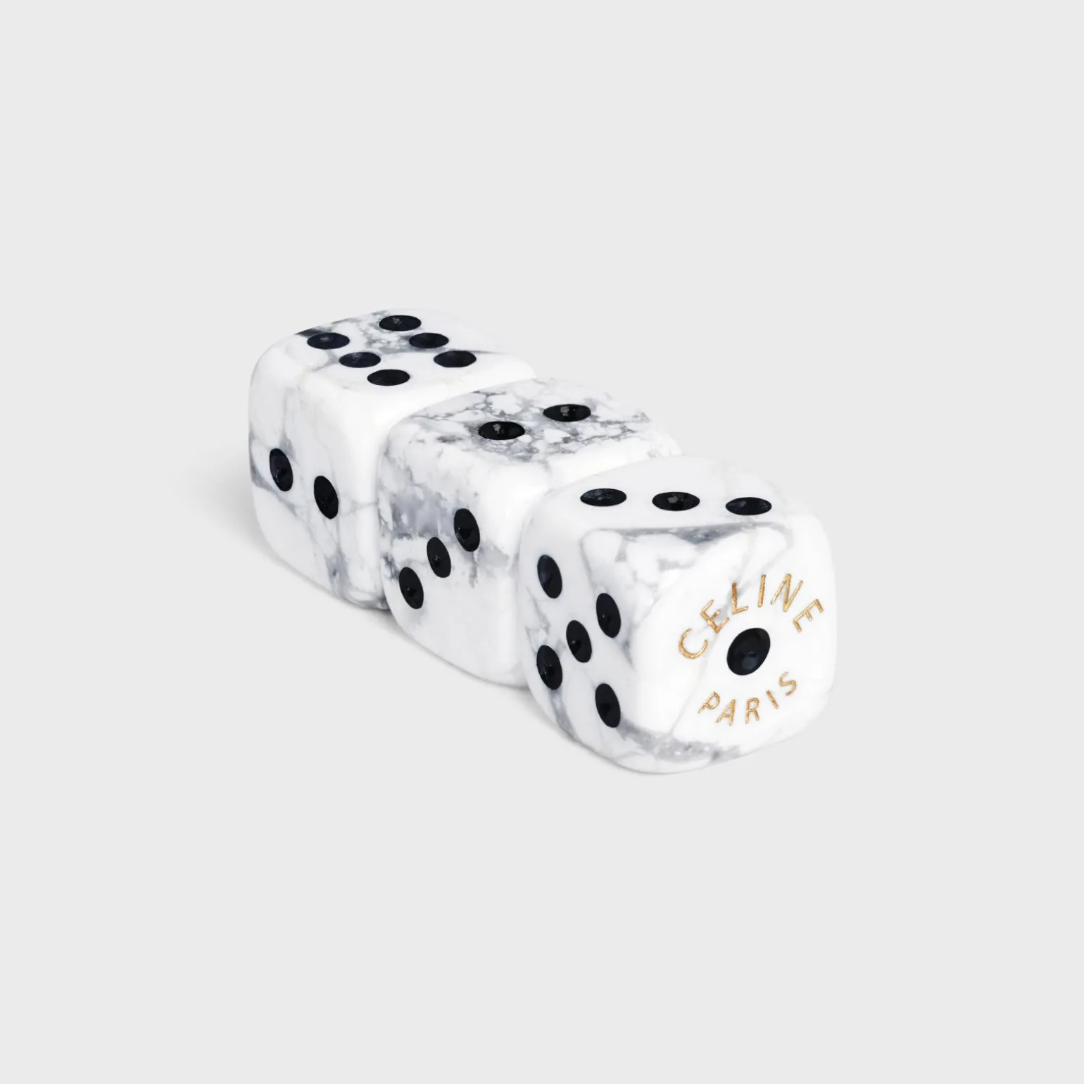 DICES CASE IN TRIOMPHE CANVAS