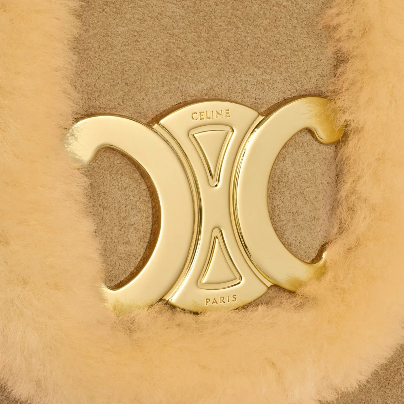 LARGE CELINE VICTOIRE BAG in SUEDE CALFSKIN AND SHEARLING