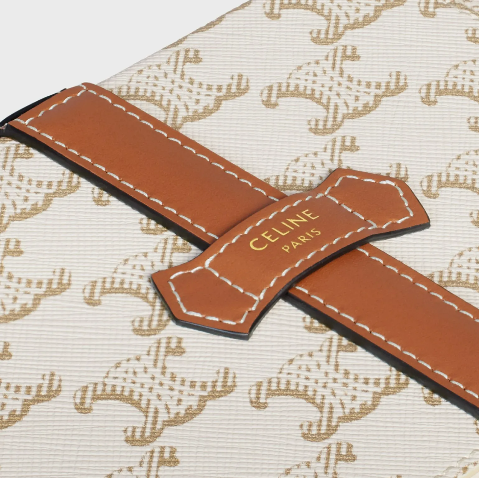 Large Jewels Case in Triomphe Canvas and Calfskin