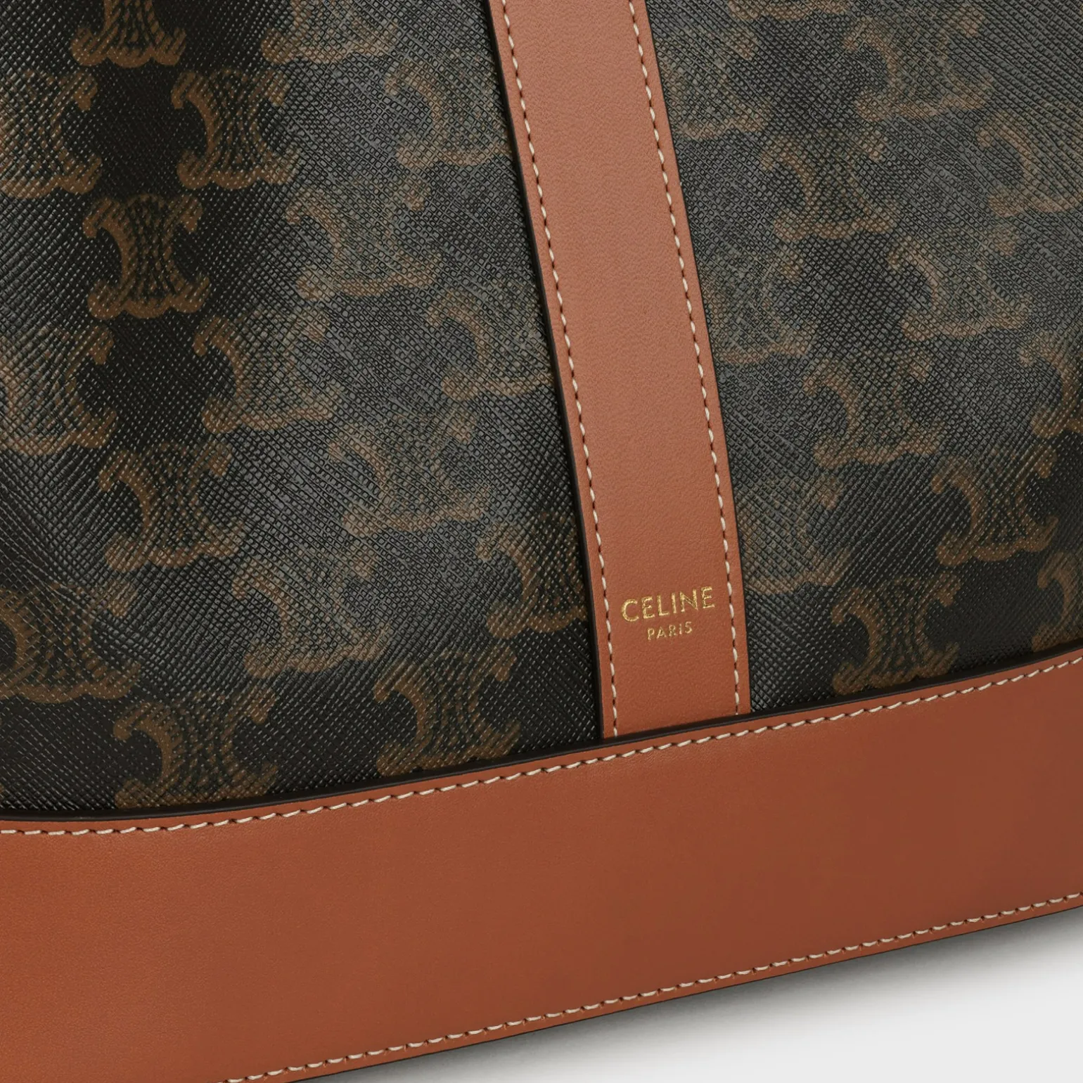 Medium Bucket in Triomphe Canvas and calfskin