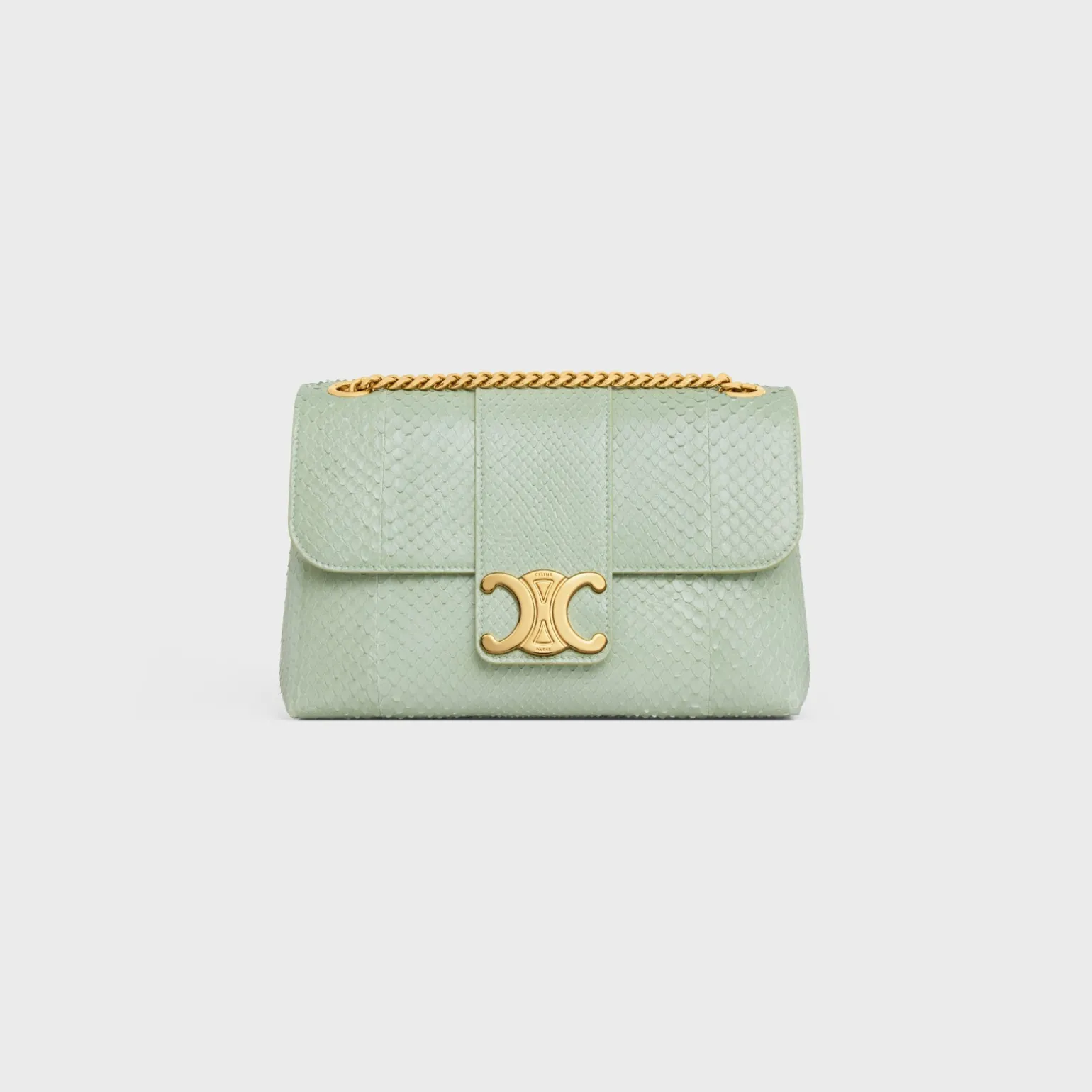 Medium Celine Victoire Bag in PYTHON