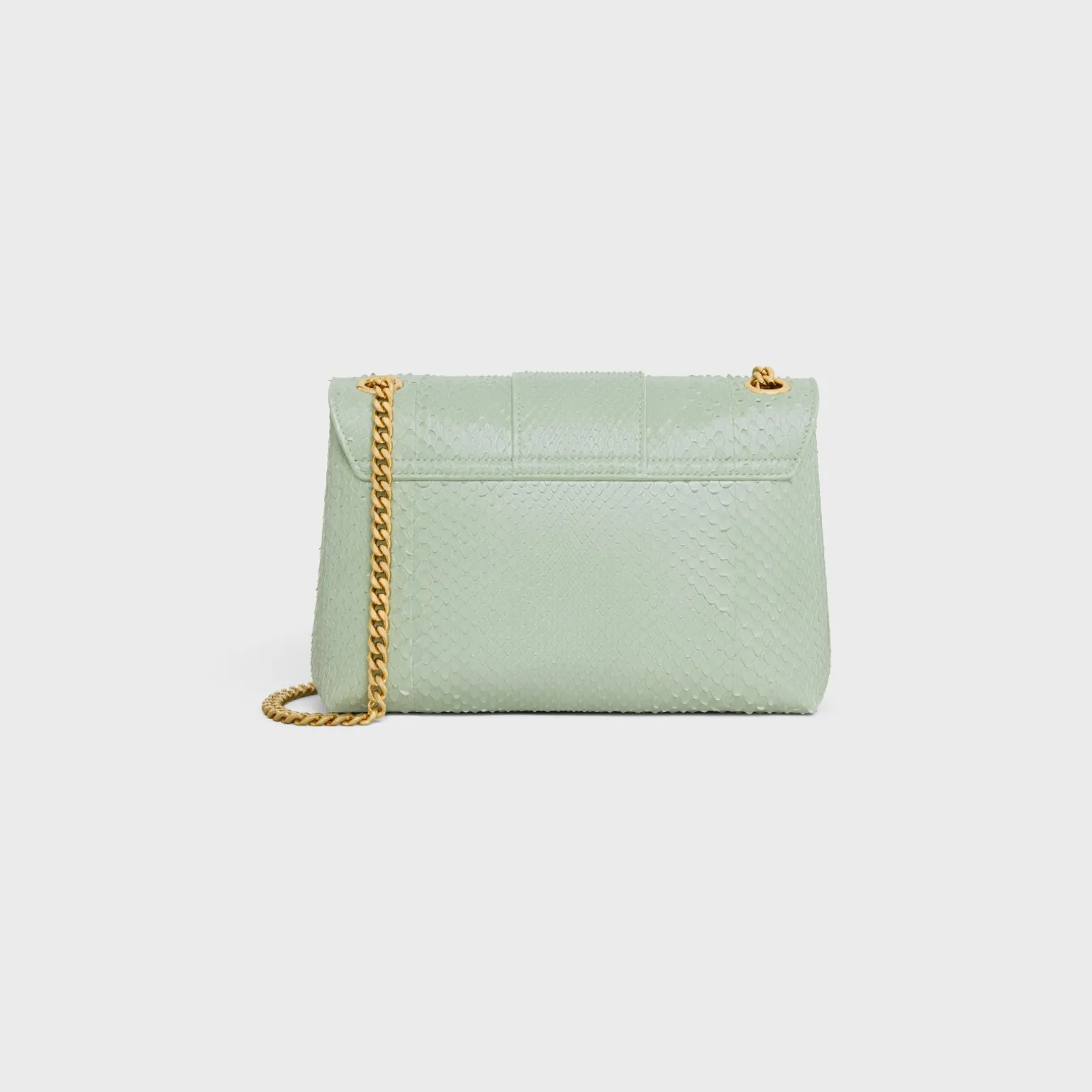 Medium Celine Victoire Bag in PYTHON