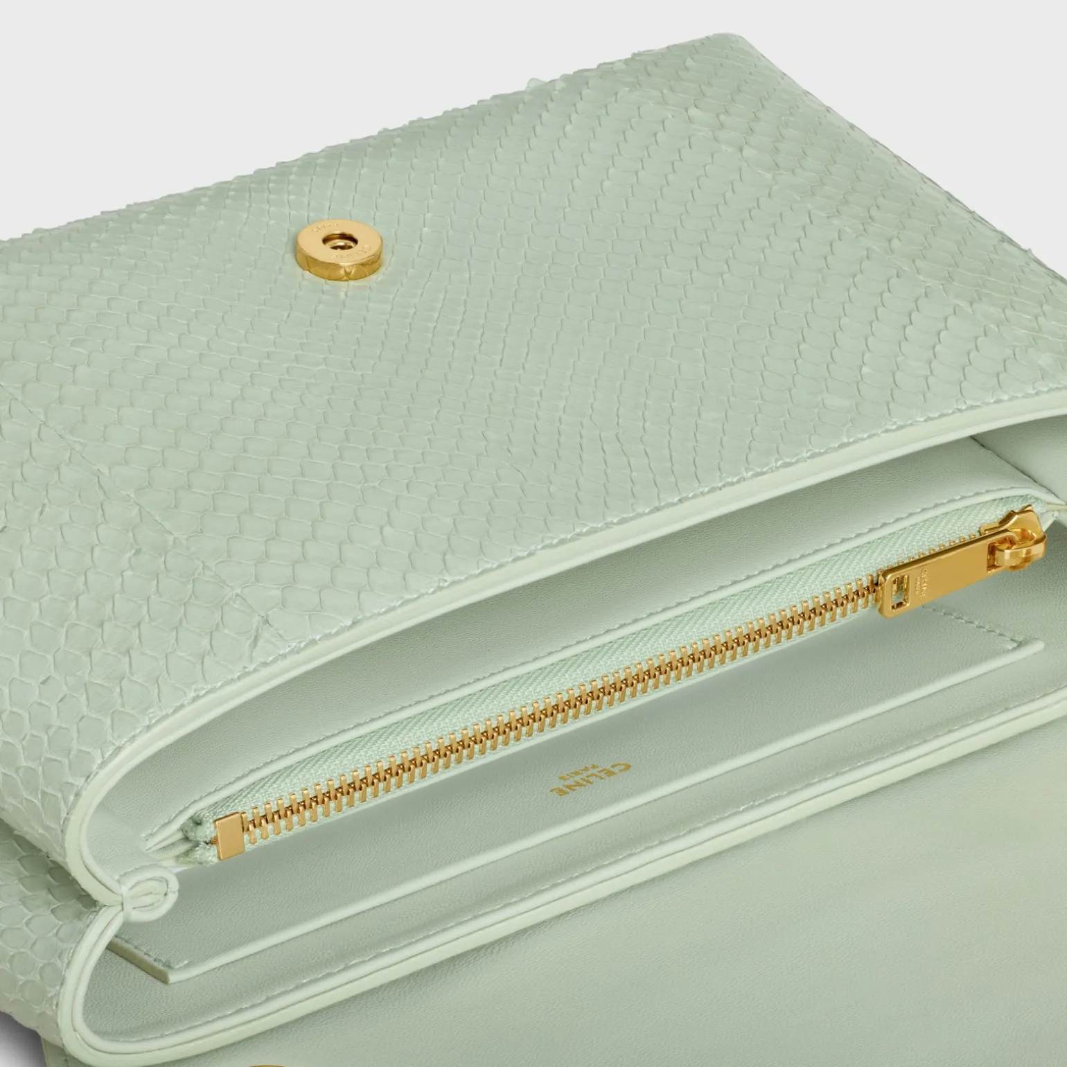 Medium Celine Victoire Bag in PYTHON