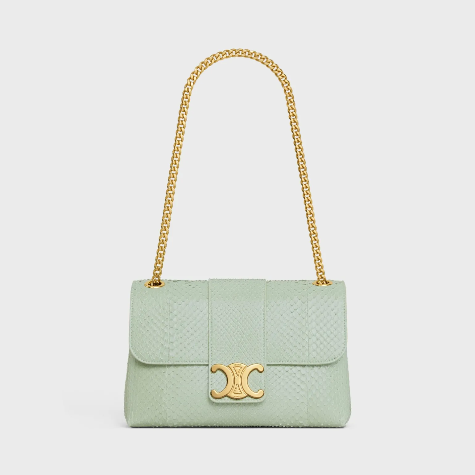 Medium Celine Victoire Bag in PYTHON