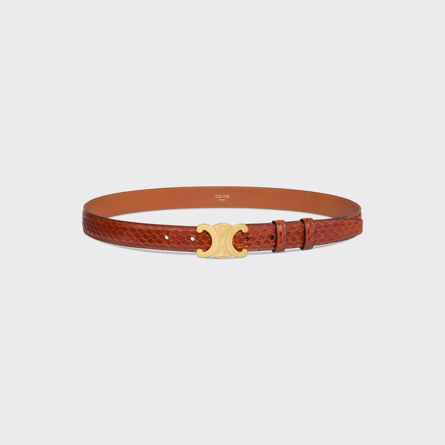 Medium Triomphe Belt in PYTHON