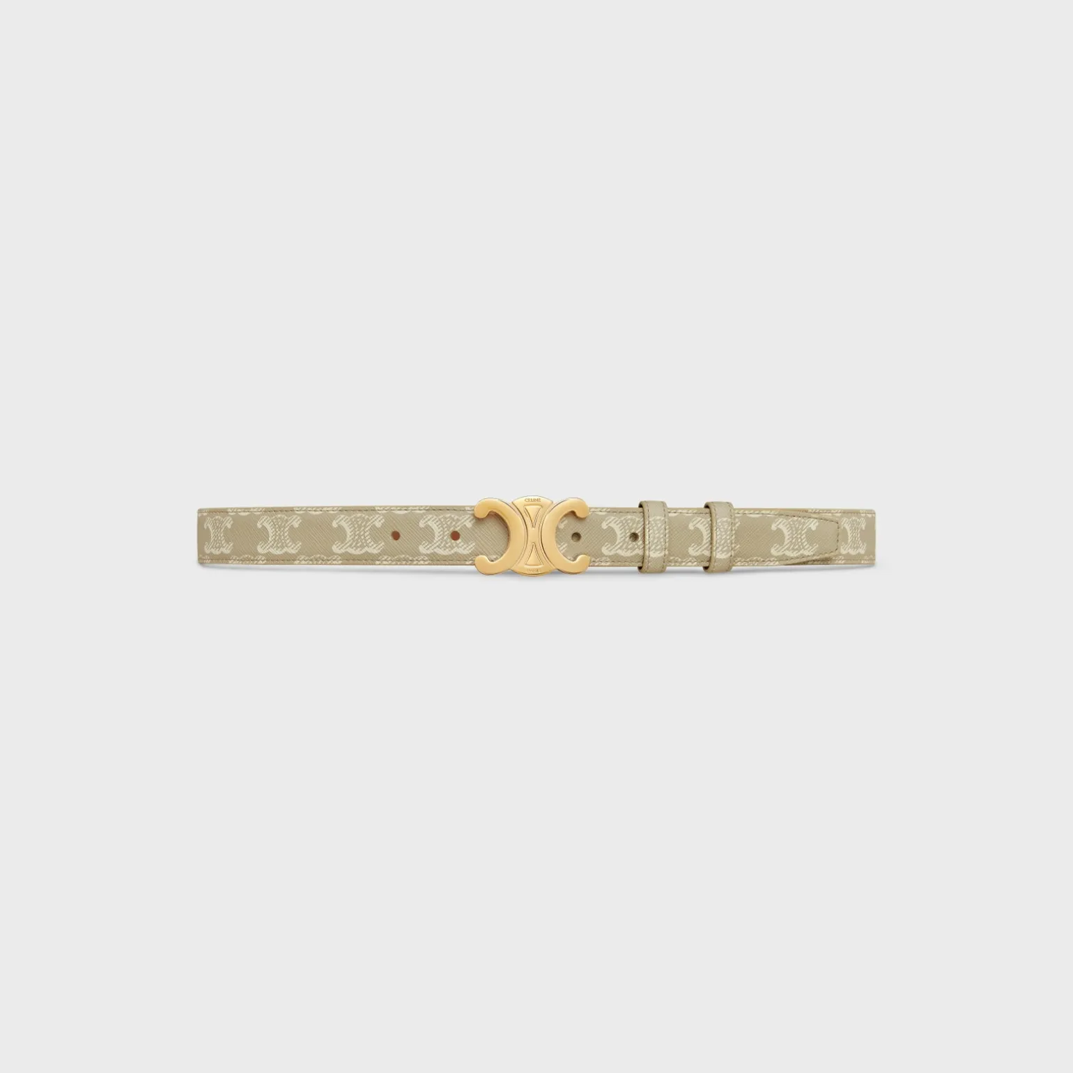 Medium Triomphe Belt in Triomphe Canvas