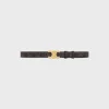 Medium Triomphe Belt in Triomphe Canvas