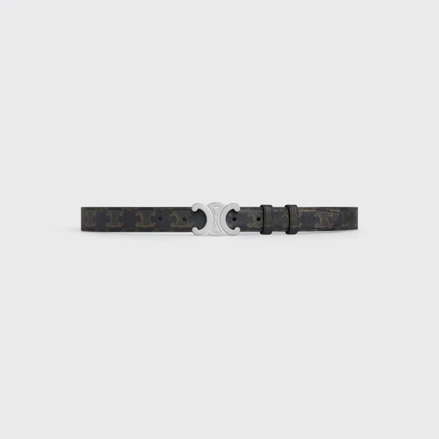 Medium Triomphe Belt in Triomphe Canvas