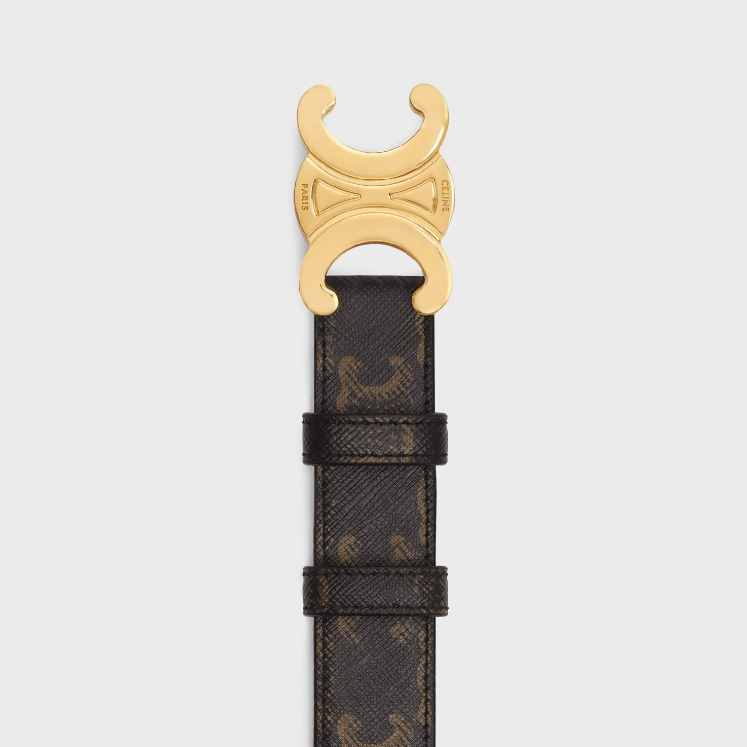 Medium Triomphe Belt in Triomphe Canvas