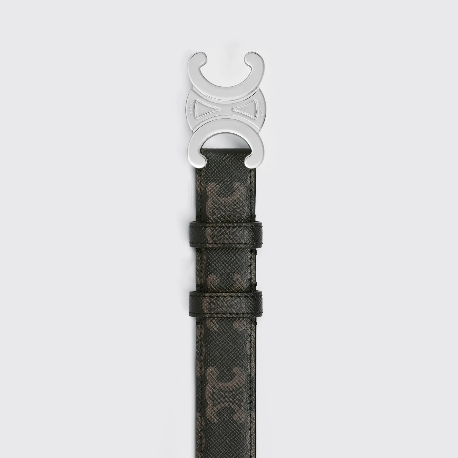 Medium Triomphe Belt in Triomphe Canvas