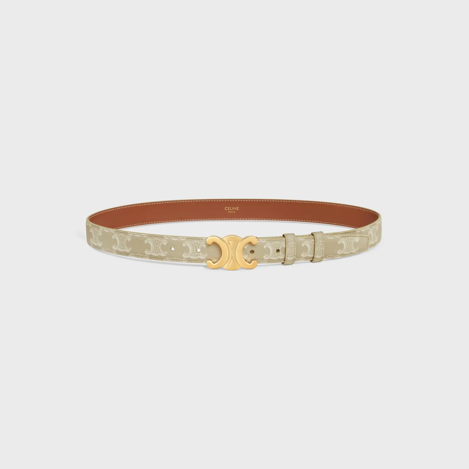 Medium Triomphe Belt in Triomphe Canvas