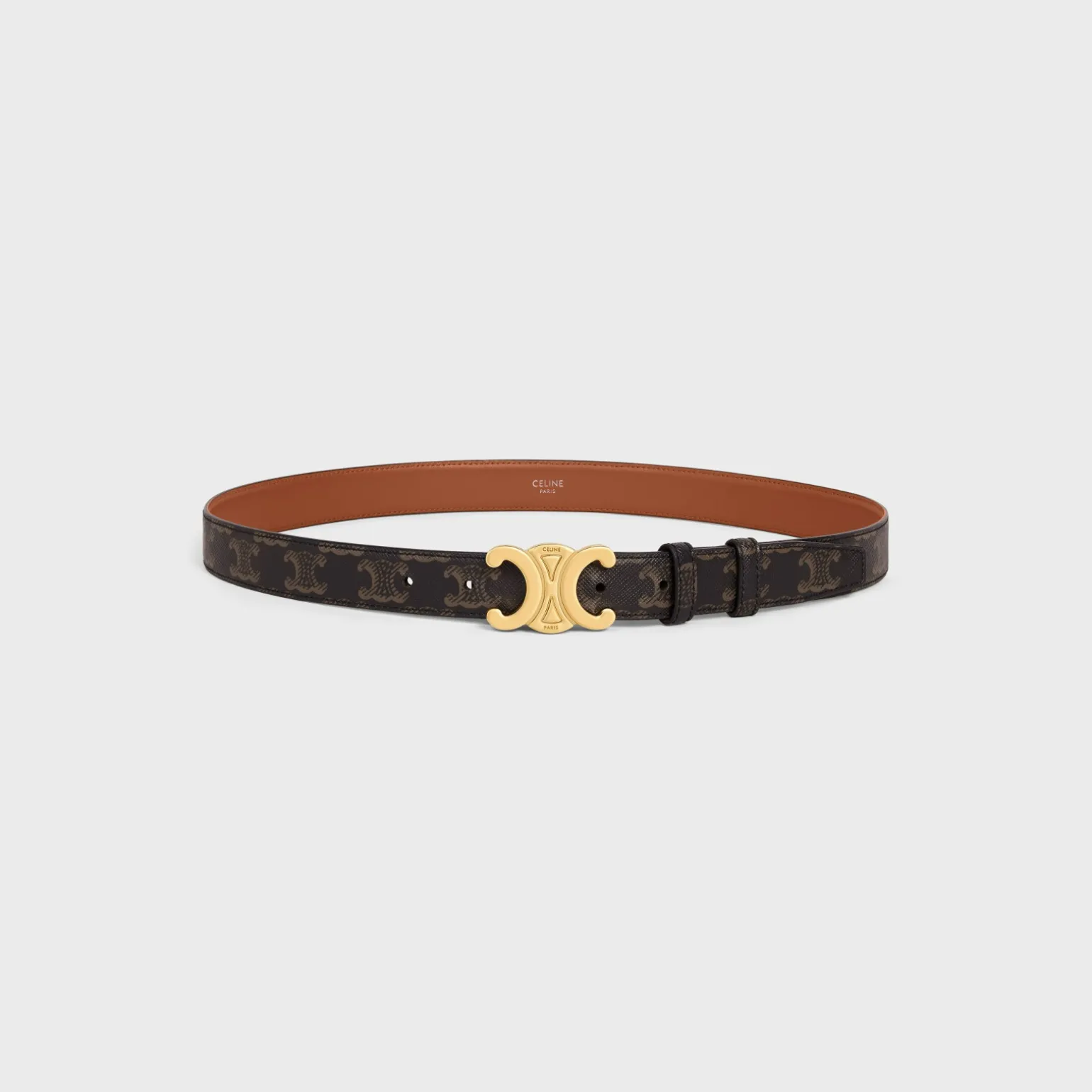 Medium Triomphe Belt in Triomphe Canvas