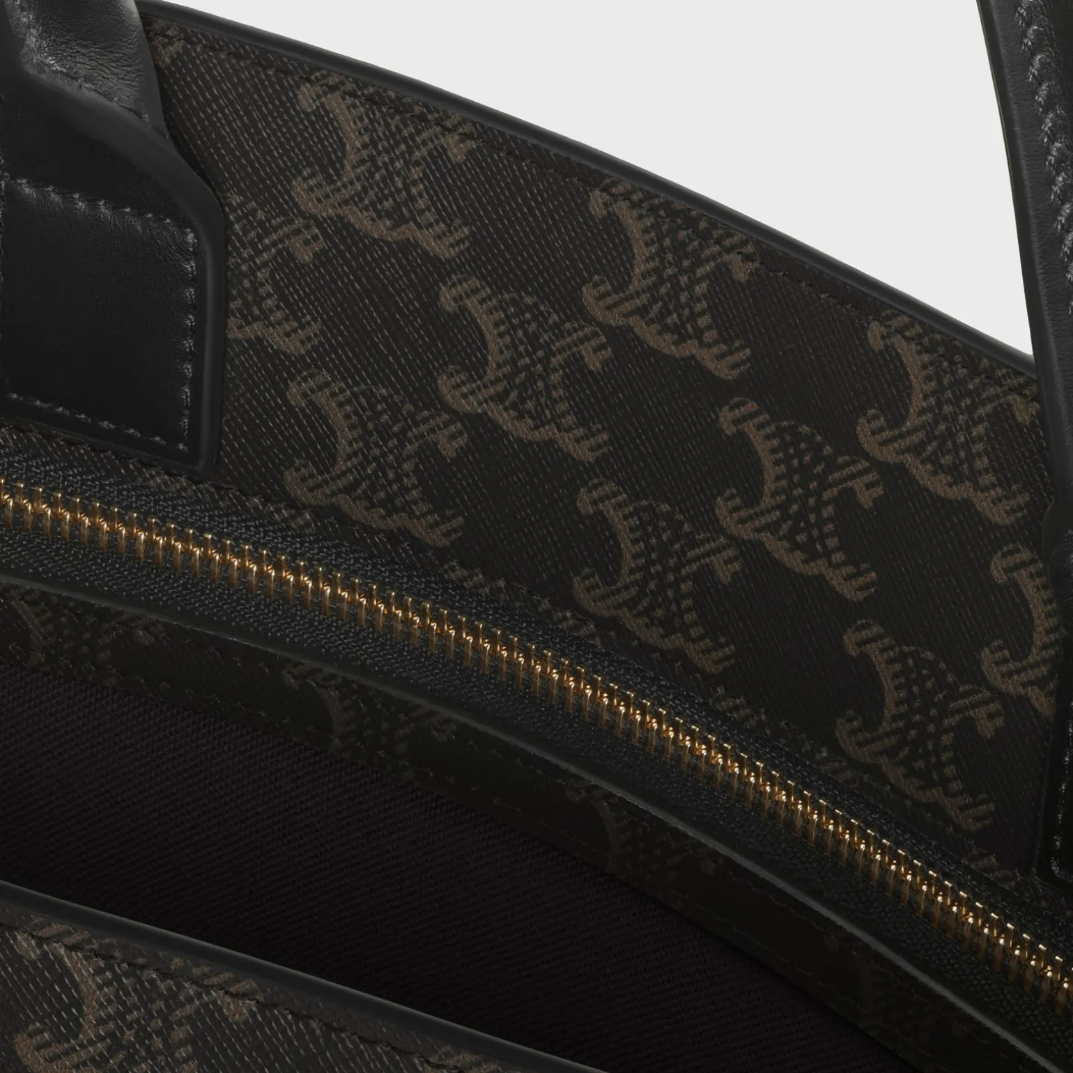 Medium Vertical Cabas in Triomphe Canvas with Celine Print