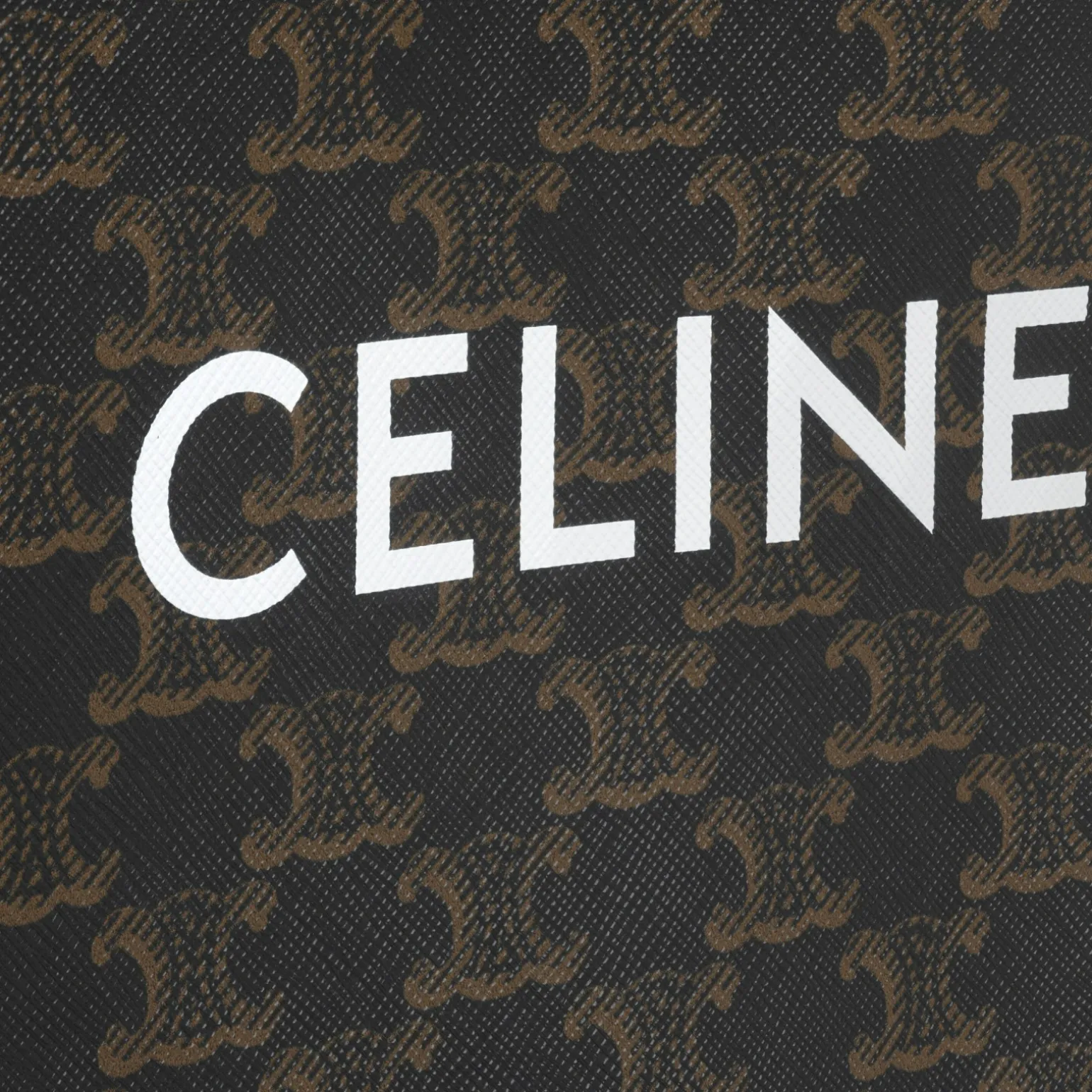 Mini Vertical Cabas in Triomphe Canvas and calfskin with Celine print