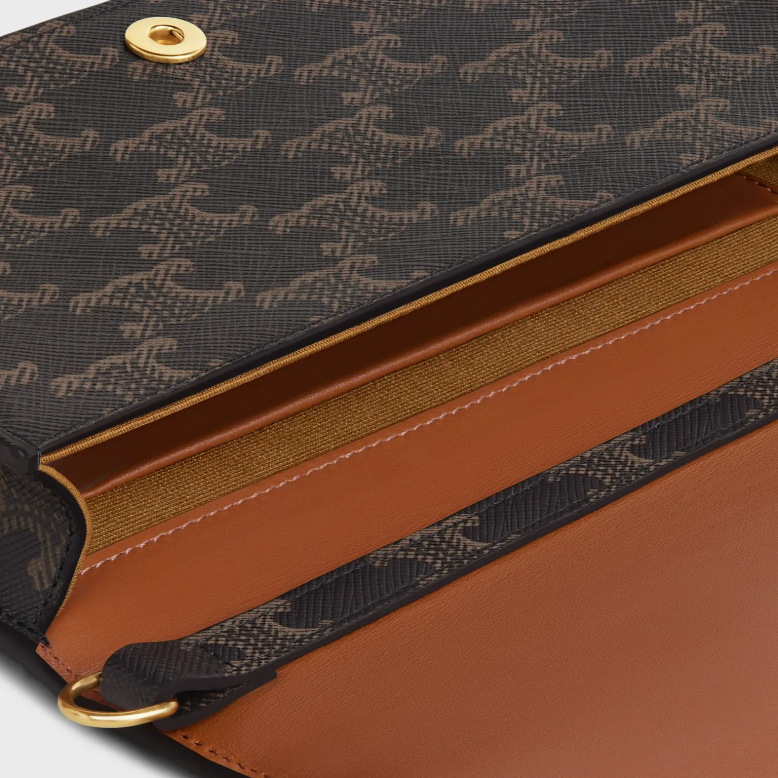 MULTIPOCHETTE in TRIOMPHE CANVAS and calfskin