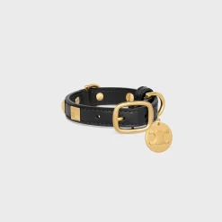 Nano Extra Thin Dog Collar in smooth Calfskin with pyramid studs