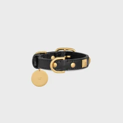 Nano Extra Thin Dog Collar in smooth Calfskin with pyramid studs