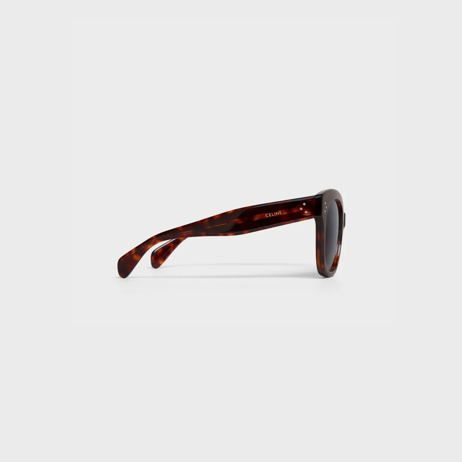 Oversized S002 Sunglasses in Acetate with Polarized Lenses