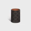 Pencil Holder in Triomphe Canvas