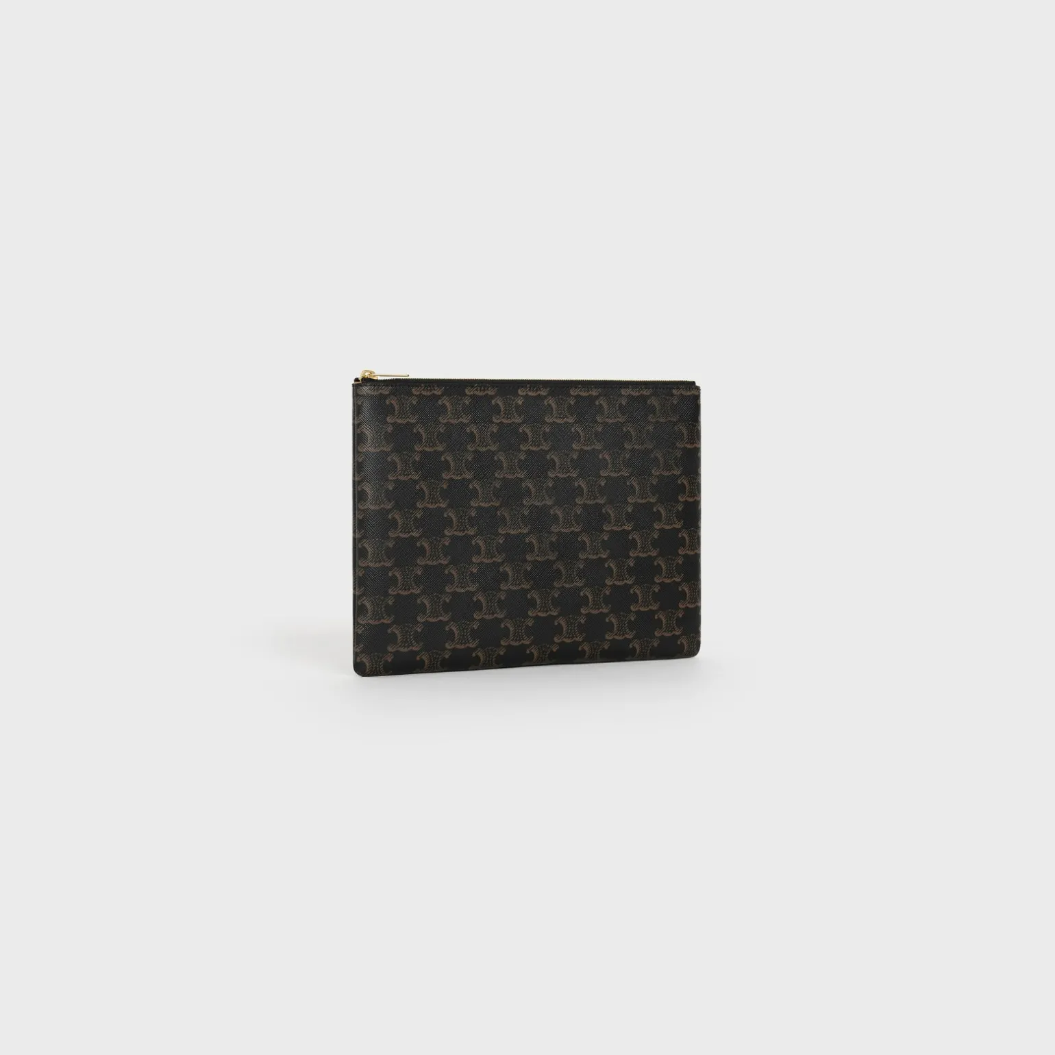 Pouch in Triomphe Canvas