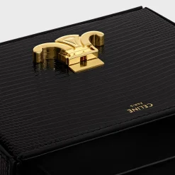 SMALL BOX BLANDINE in Lizard