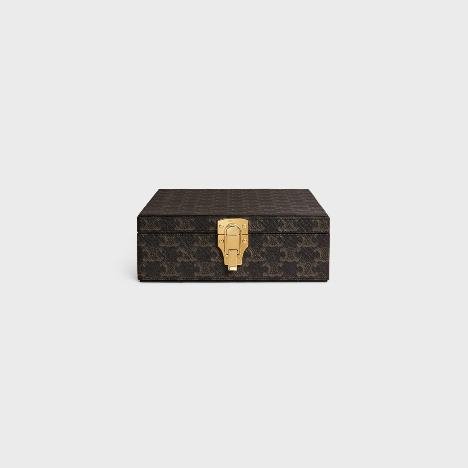 Small Stationery Case in Triomphe Canvas and calfskin