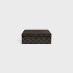 Small Stationery Case in Triomphe Canvas and calfskin