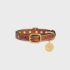 Small Thin Dog Collar in Smooth Calfskin with Studs Triomphe
