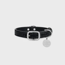 SMALL THIN DOG COLLAR IN SUEDE CALFSKIN WITH STRASS