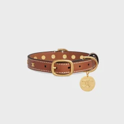 Small Thin Dog Collar in Smooth Calfskin with Studs Triomphe