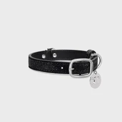 SMALL THIN DOG COLLAR IN SUEDE CALFSKIN WITH STRASS