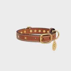 Small Thin Dog Collar in Smooth Calfskin with Studs Triomphe