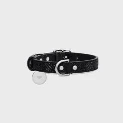SMALL THIN DOG COLLAR IN SUEDE CALFSKIN WITH STRASS
