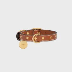 Small Thin Dog Collar in Smooth Calfskin with Studs Triomphe