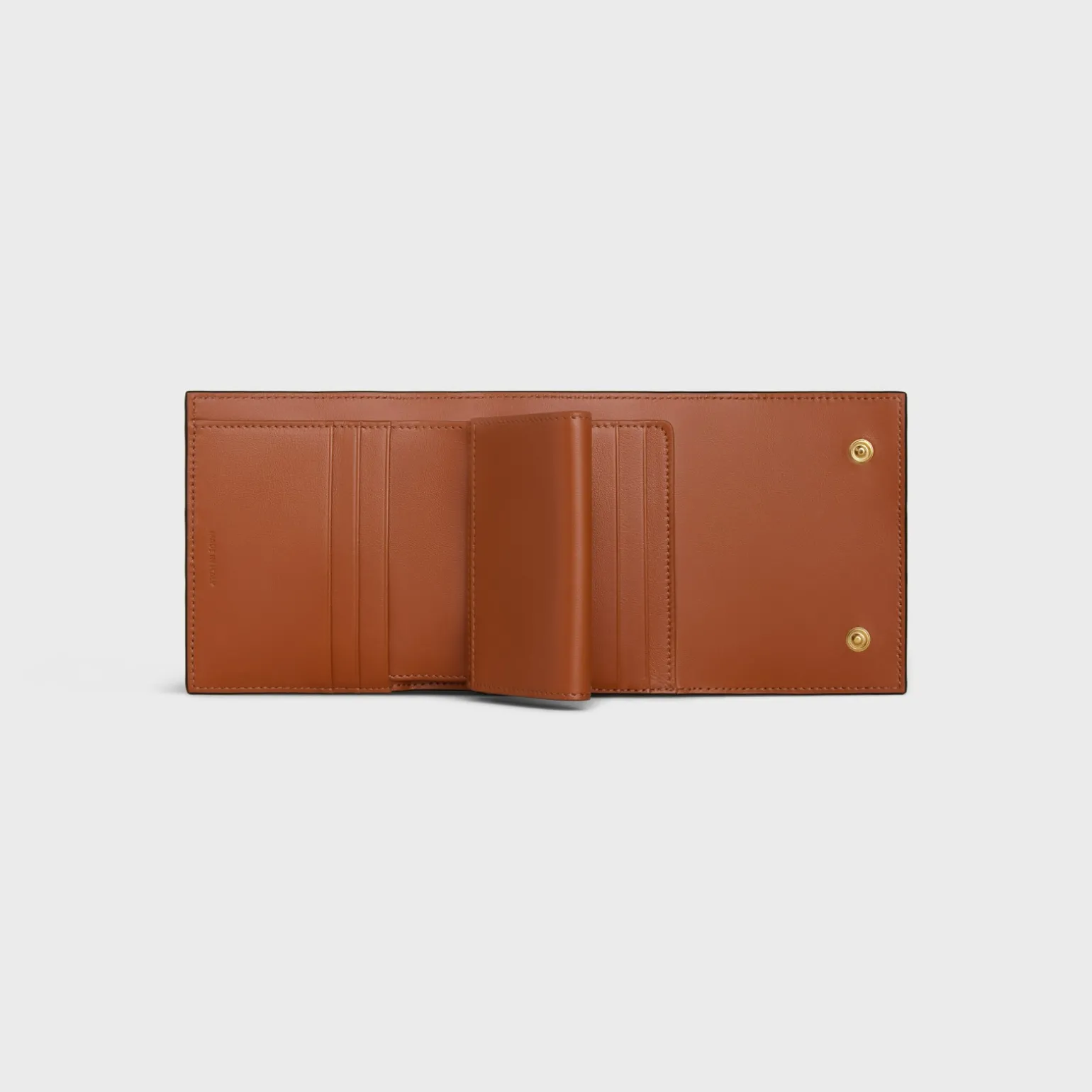 Small Trifold wallet in Triomphe Canvas and Lambskin
