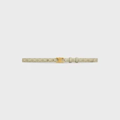 Small Triomphe Belt in Triomphe canvas