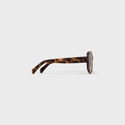 Square S299 Sunglasses in Acetate