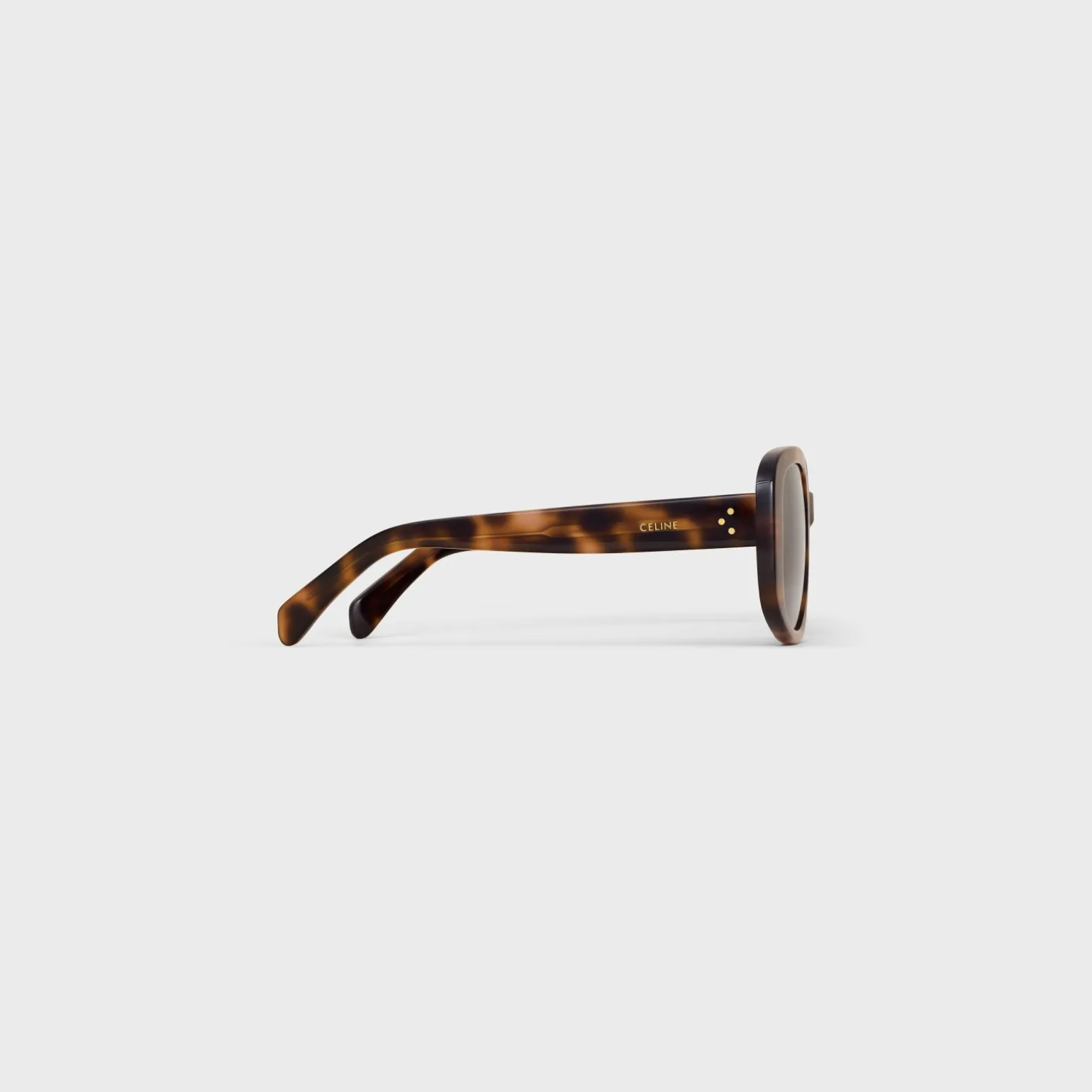 Square S299 Sunglasses in Acetate