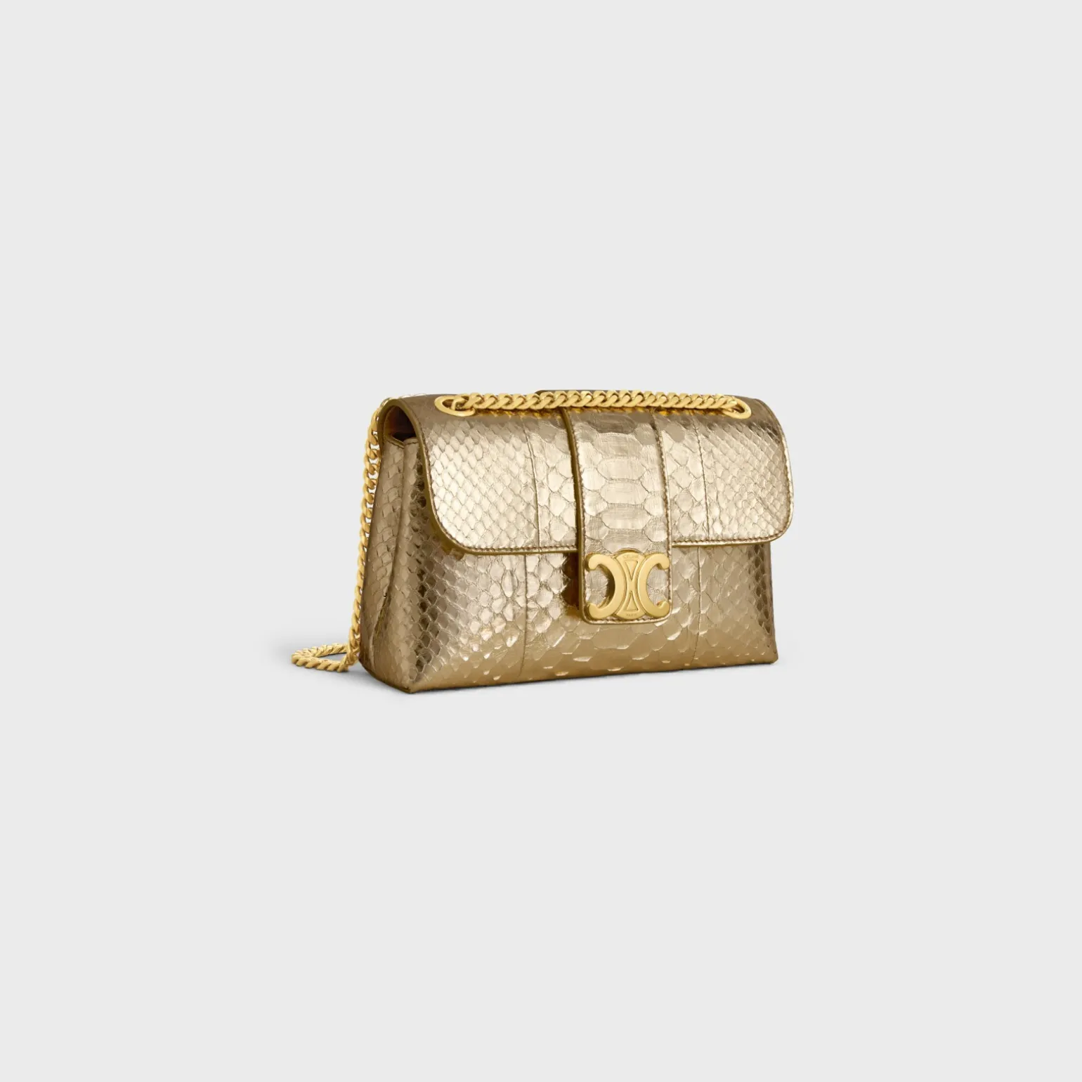 TEEN CELINE VICTOIRE BAG in LAMINATED PYTHON
