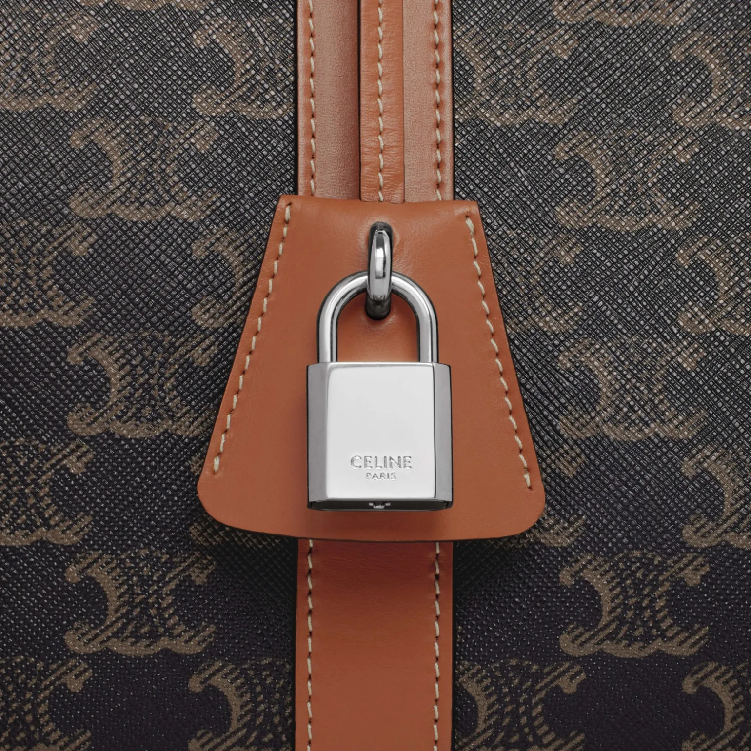 TRAVEL DOG BAG IN TRIOMPHE CANVAS AND CALFKSIN